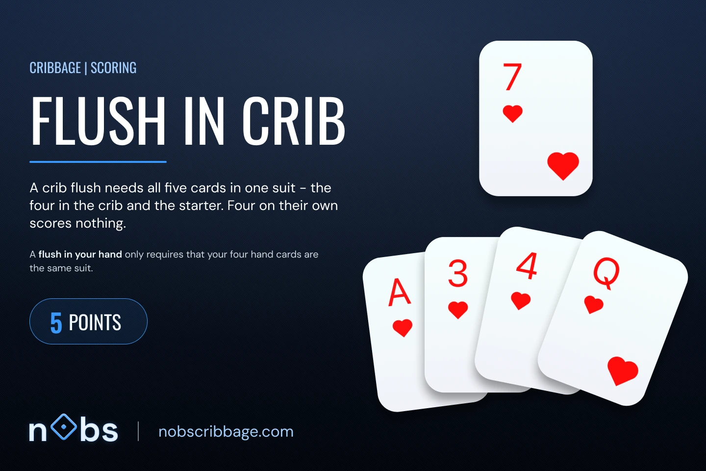 A crib of A♥ 3♥ 4♥ Q♥ with the 7♥ starter. All five cards are hearts, so the crib flush scores 5.